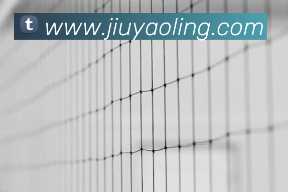 世界杯官网中文版APP 高清赛事图